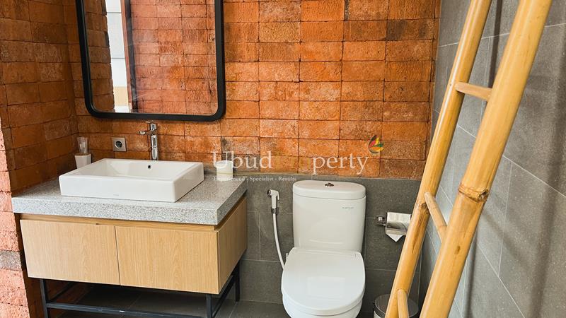 Ubud Property Villa For Sale in Ubud Bali