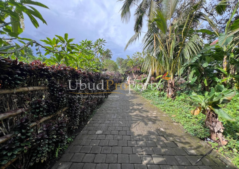 Ubud Property Land For Sale in Ubud Bali - Road