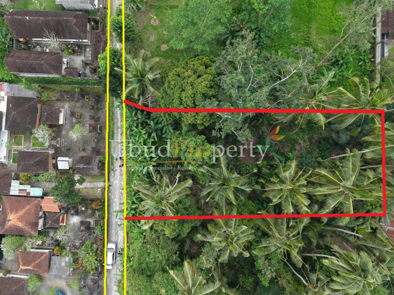 Land For Sale Leasehold in Ubud Bali