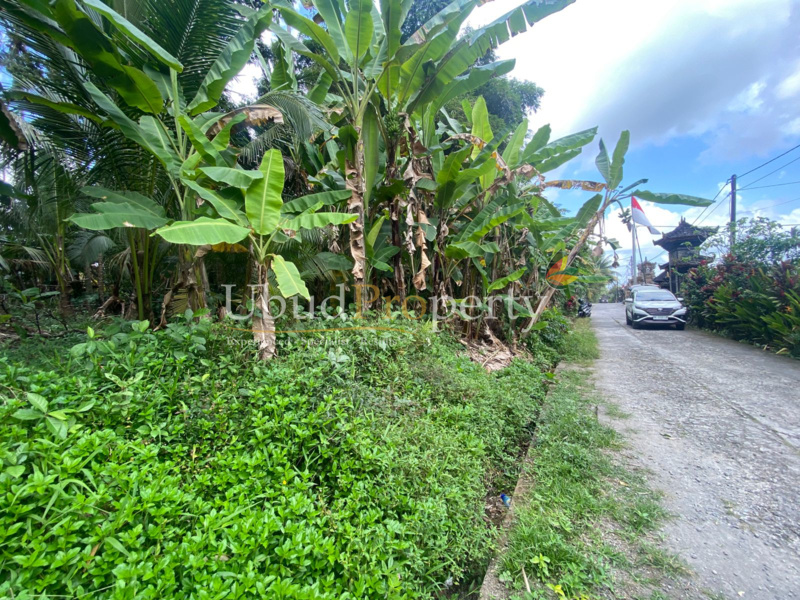 Ubud Property Land For Lease in Ubud Bali