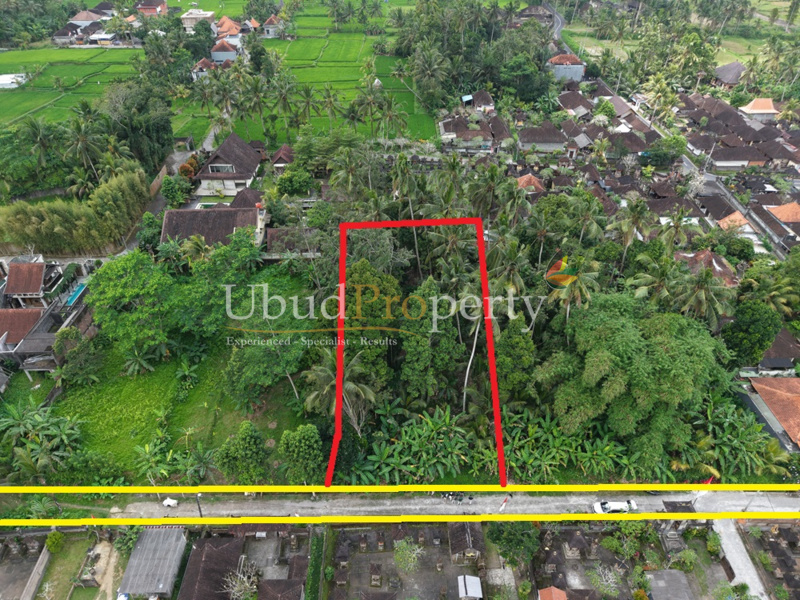 Ubud Property Land For Lease in Ubud Bali