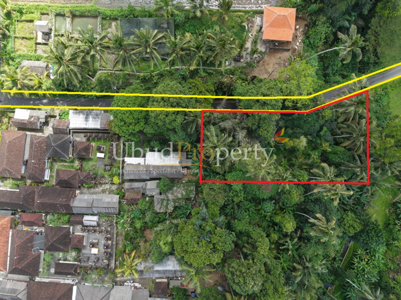 Land For Sale Leasehold in Ubud Bali