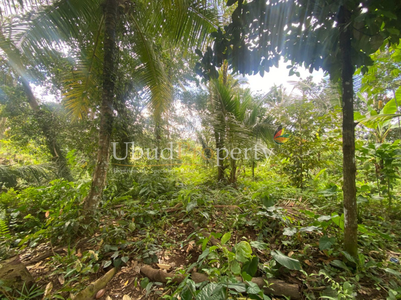 Ubud Property Land For Lease in Ubud Bali