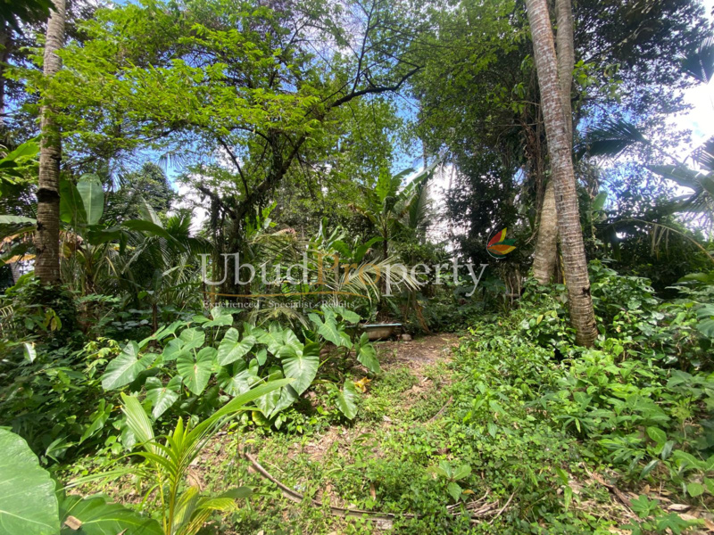 Ubud Property Land For Lease in Ubud Bali