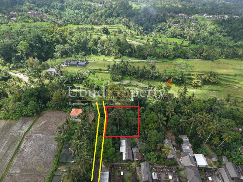 Ubud Property Land For Lease in Ubud Bali