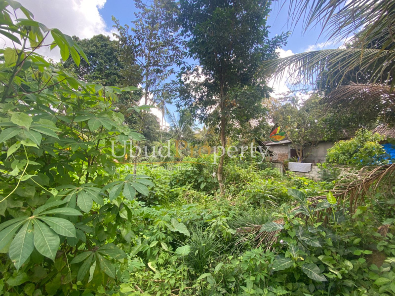 Ubud Property Land For Lease in Ubud Bali