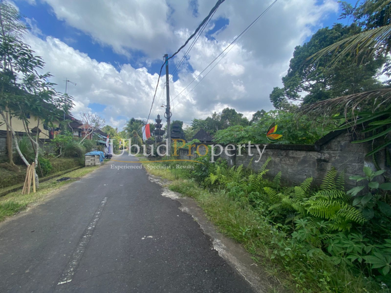 Ubud Property Land For Lease in Ubud Bali