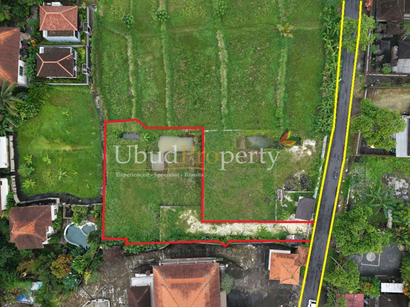 Land For Sale Leasehold in Ubud Bali
