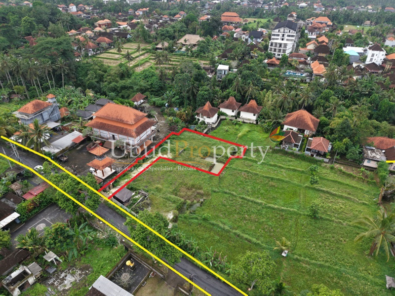 Ubud Property Land For Lease in Ubud Bali
