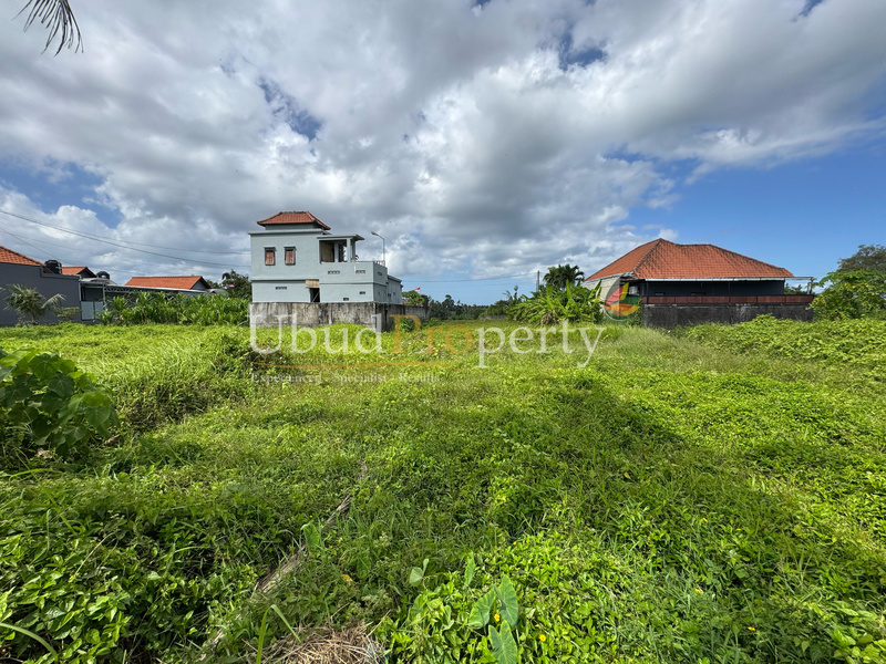 Ubud Property Land For Lease in Ubud Bali