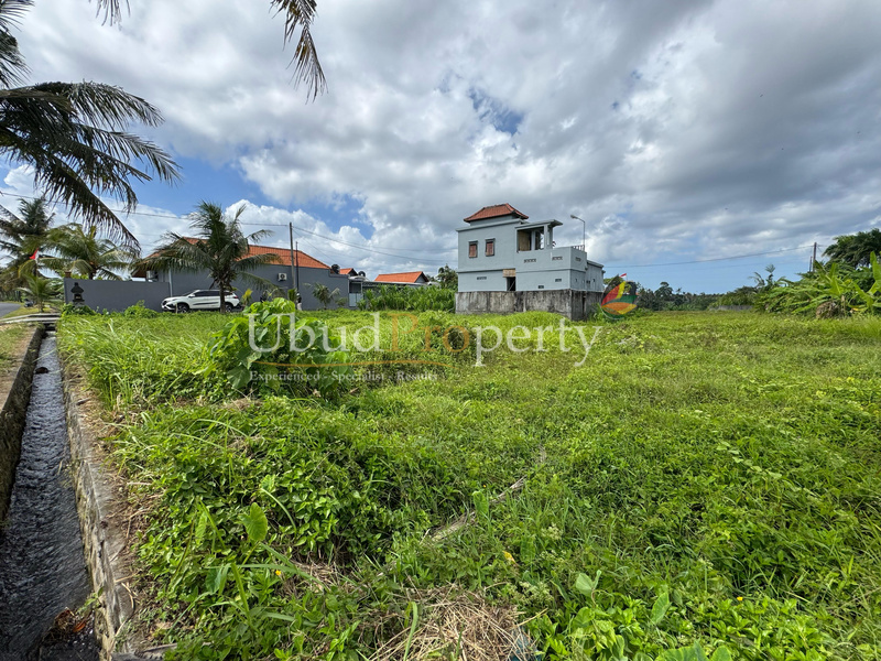 Ubud Property Land For Lease in Ubud Bali