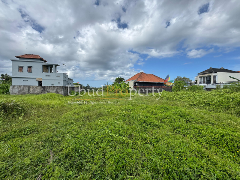 Ubud Property Land For Lease in Ubud Bali