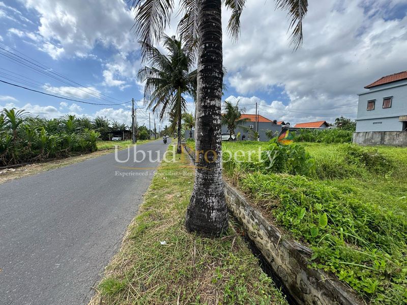 Ubud Property Land For Lease in Ubud Bali