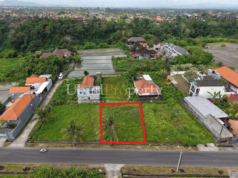 Ubud Property Land For Lease in Ubud Bali