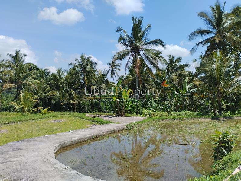 Ubud Property Land For Sale in Ubud Bali