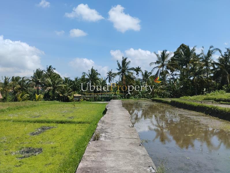 Ubud Property Land For Sale in Ubud Bali