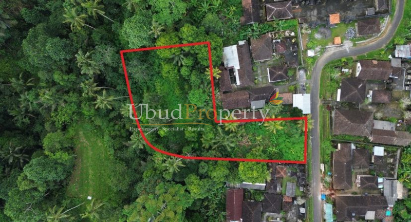 Land For Sale Leasehold in Ubud Bali