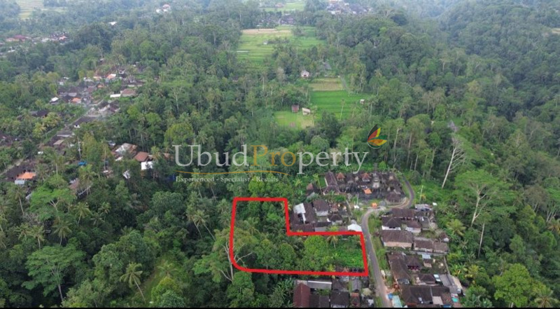 Ubud Property Land For Lease in Ubud Bali