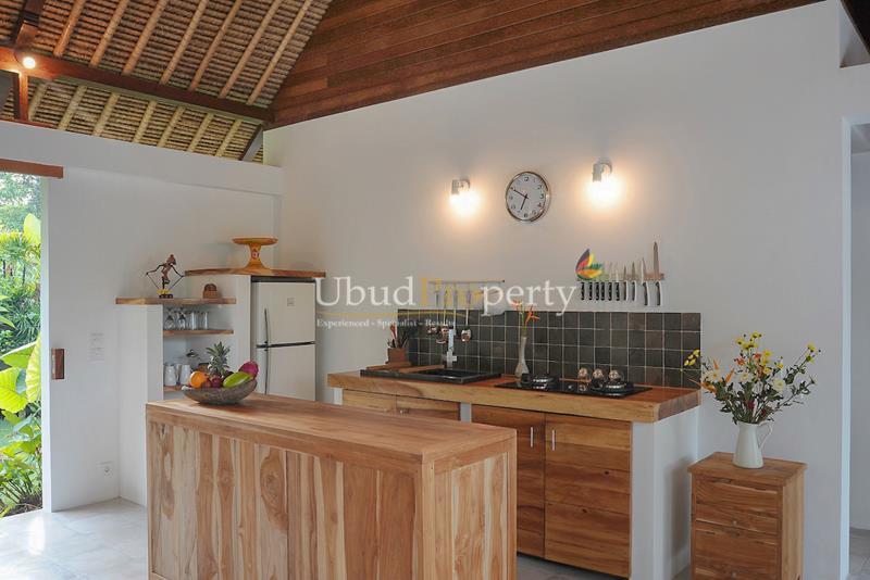 Ubud Property Villa For Sale in Ubud Bali