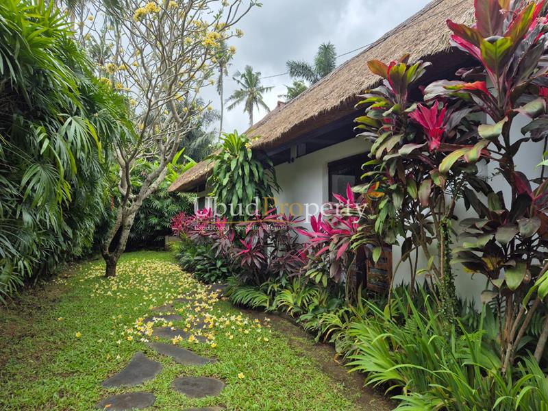 Ubud Property Villa For Sale in Ubud Bali