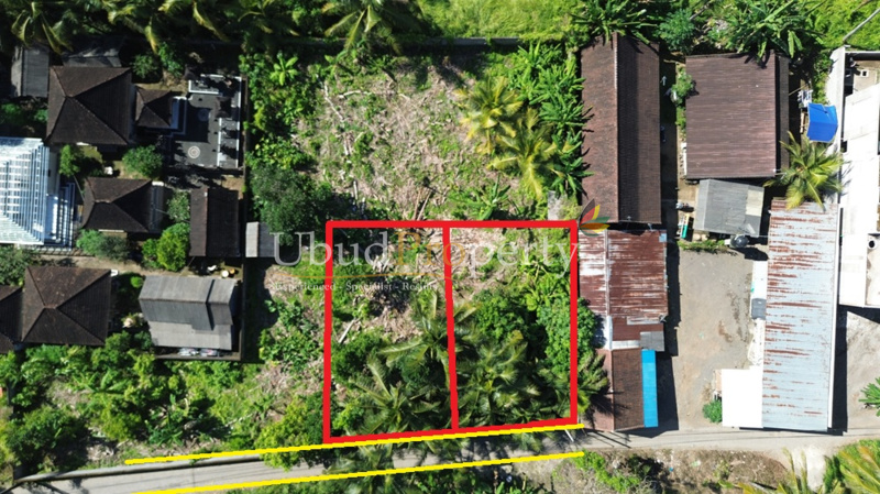 Land For Sale Freehold in Ubud Bali