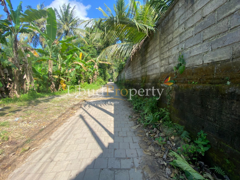 Ubud Property Land For Sale in Ubud Bali
