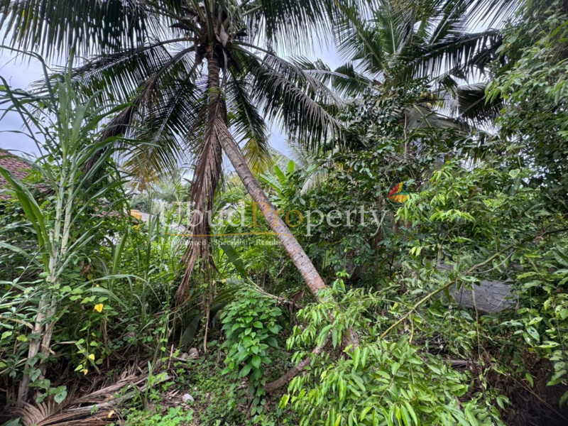 Ubud Property Land For Sale in Ubud Bali