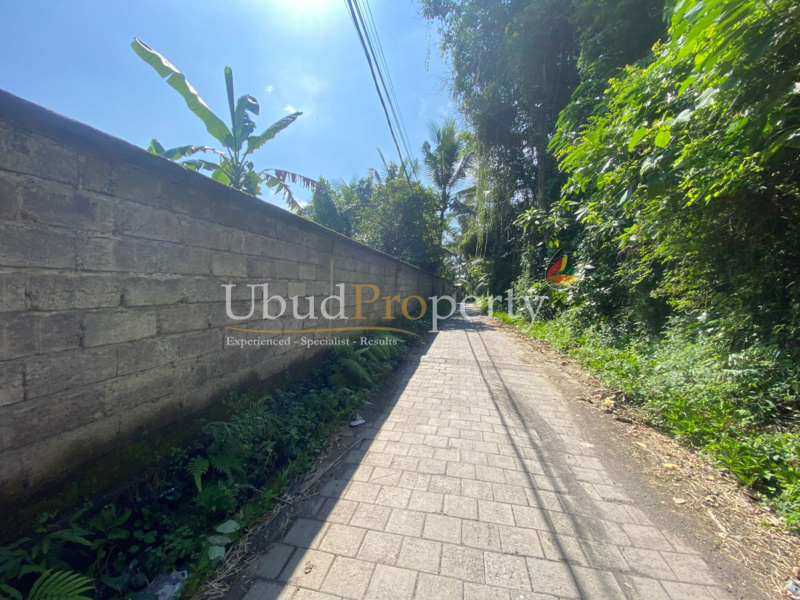 Ubud Property Land For Sale in Ubud Bali