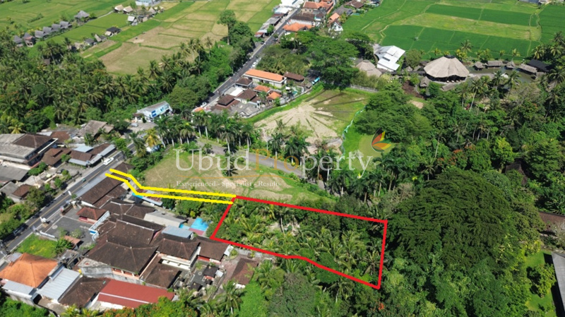 Ubud Property Land For Lease in Ubud Bali