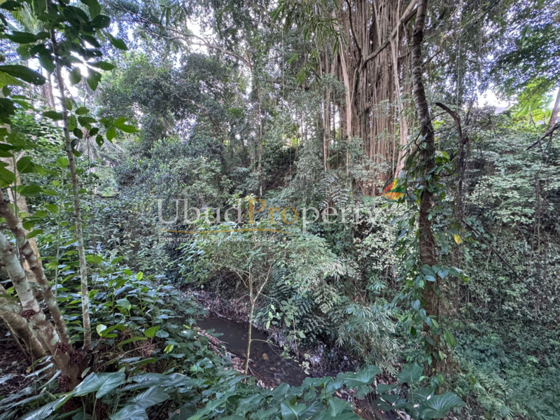 Ubud Property Land For Lease in Ubud Bali