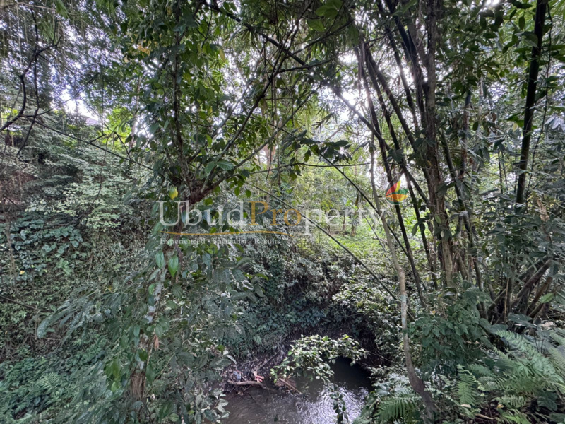 Ubud Property Land For Lease in Ubud Bali