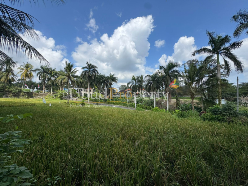 Ubud Property Land For Lease in Ubud Bali