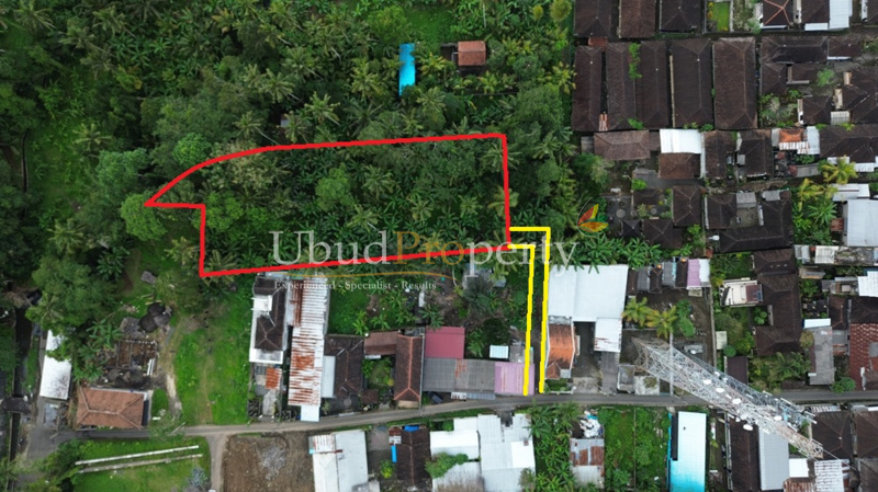 Land For Sale Leasehold in Ubud Bali