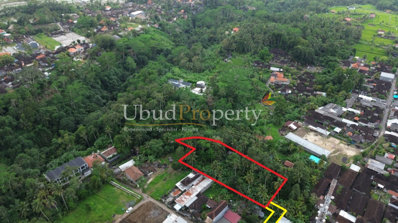 Ubud Property Land For Lease in Ubud Bali