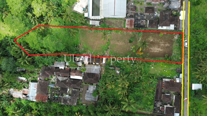 Land For Sale Freehold in Ubud Bali