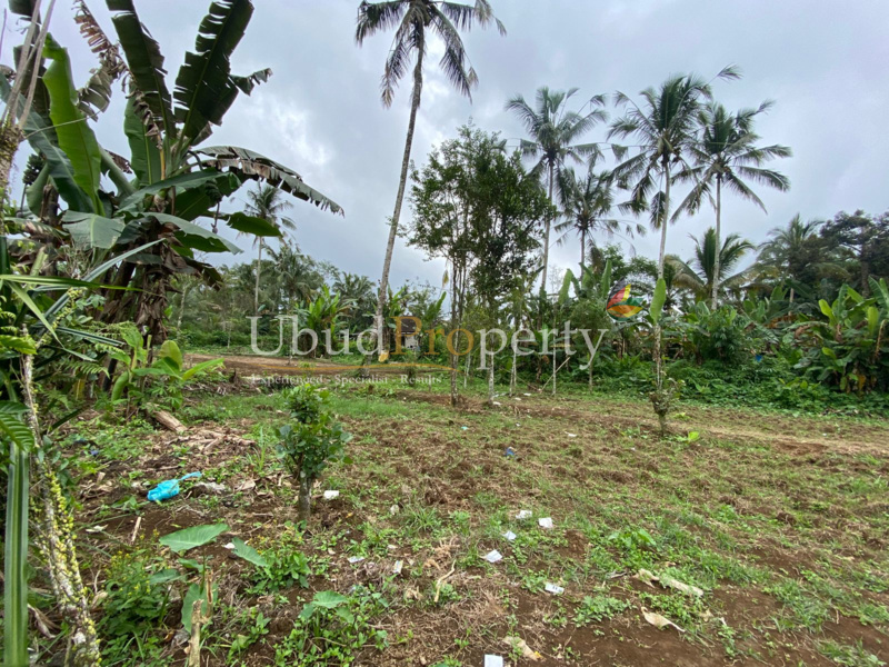 Ubud Property Land For Sale in Ubud Bali
