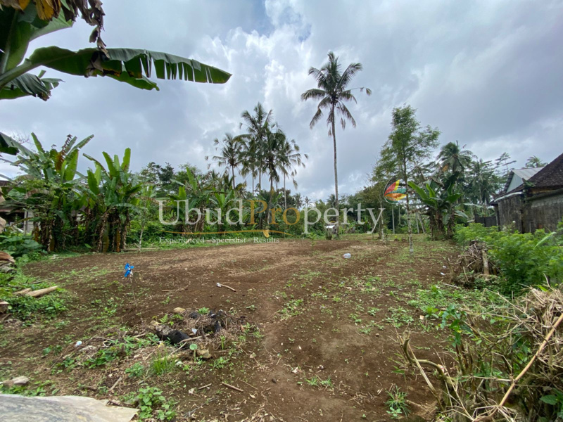 Ubud Property Land For Sale in Ubud Bali