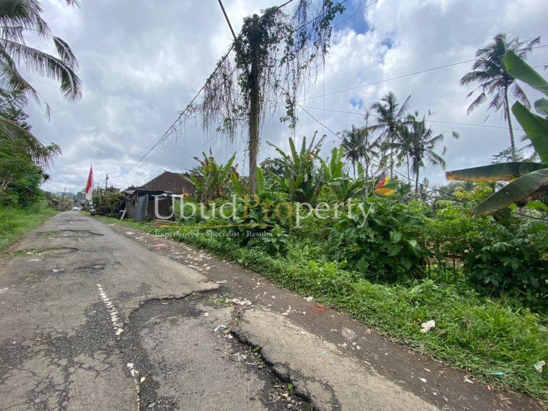 Ubud Property Land For Sale in Ubud Bali