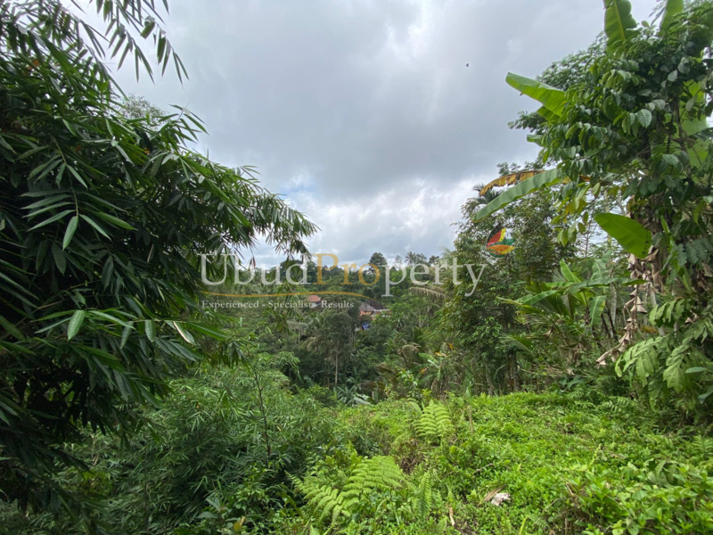 Ubud Property Land For Sale in Ubud Bali
