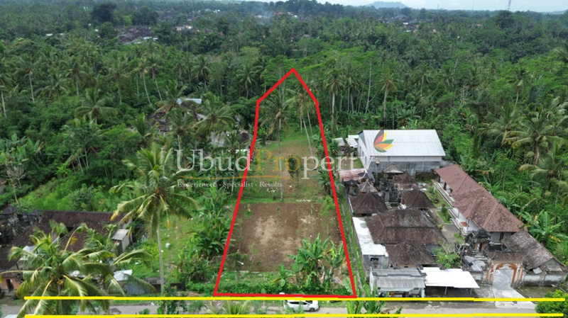 Ubud Property Land For Sale in Ubud Bali