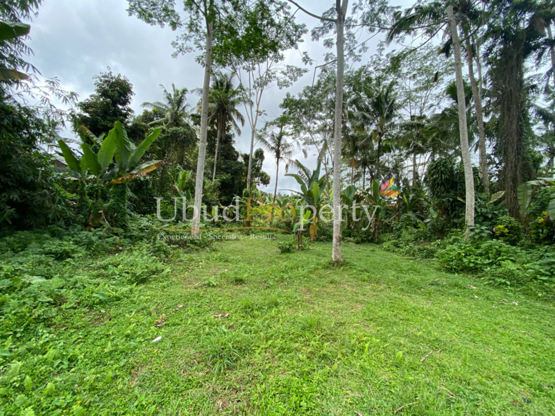 Ubud Property Land For Sale in Ubud Bali
