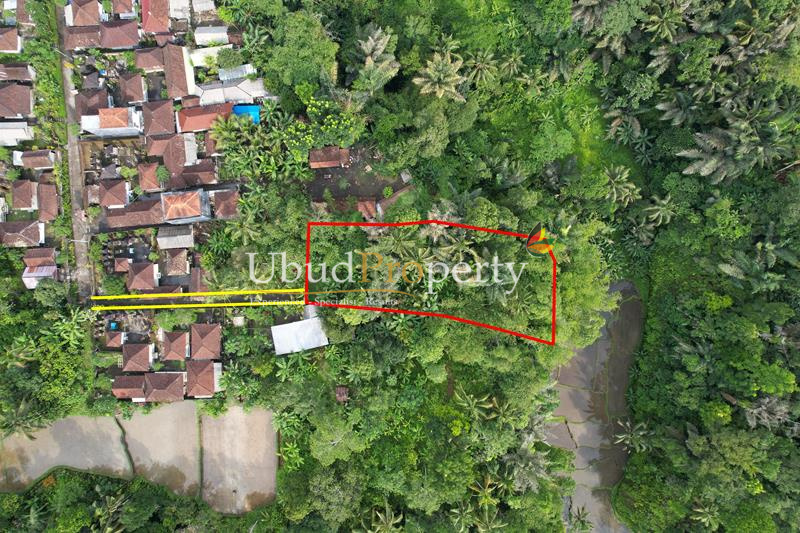 Land For Sale Leasehold in Ubud Bali