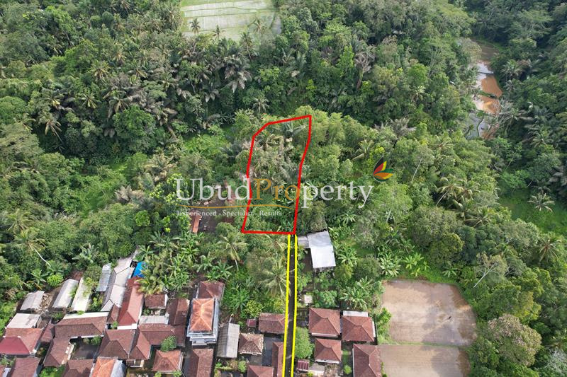 Ubud Property Land For Sale in Ubud Bali
