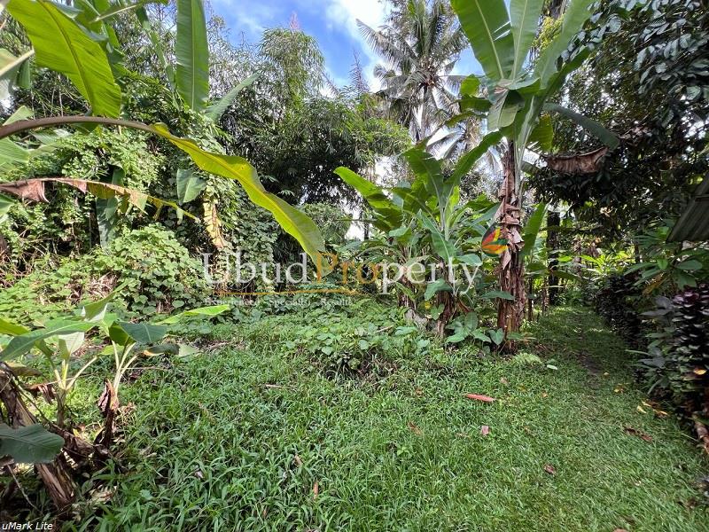 Ubud Property Land For Sale in Ubud Bali