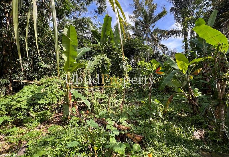 Ubud Property Land For Sale in Ubud Bali