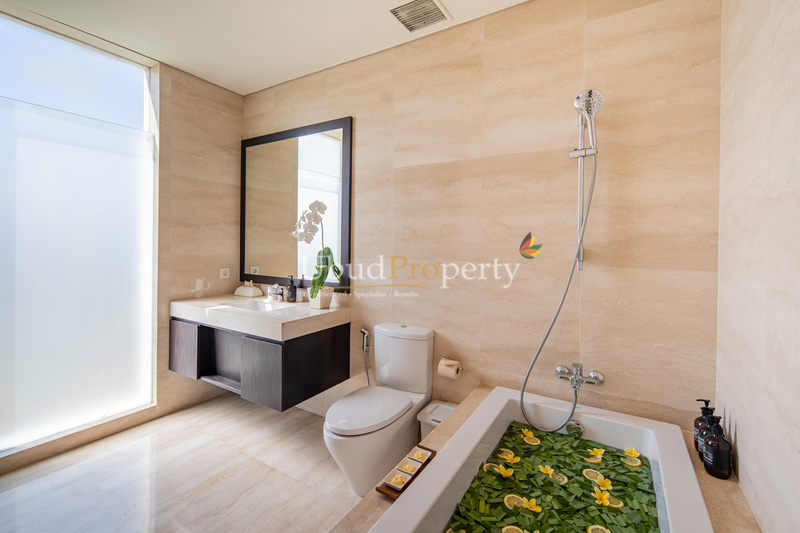 Ubud Property Villa For Sale in Ubud Bali