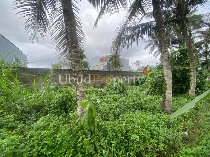 Ubud Property Land For Sale in Ubud Bali