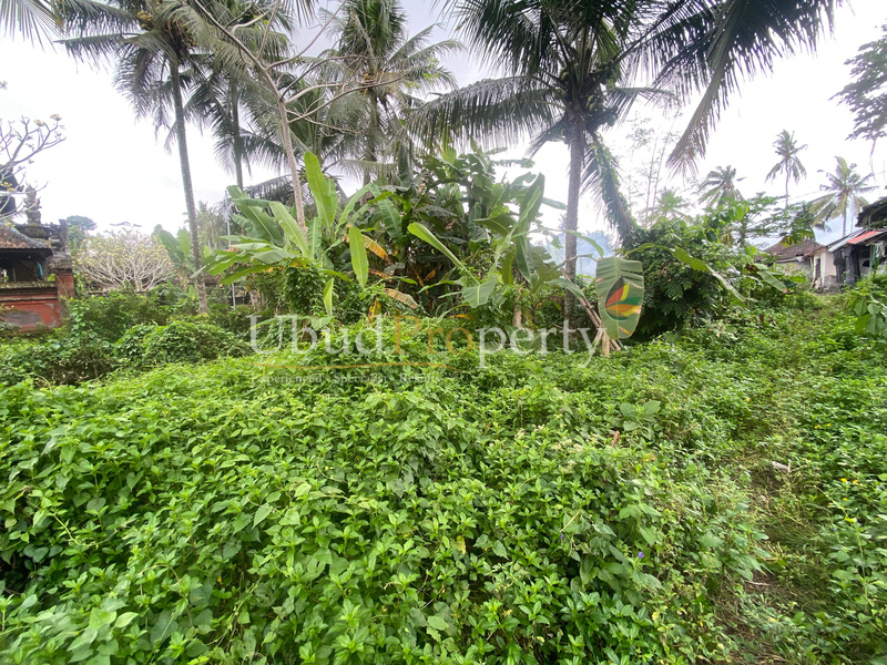 Ubud Property Land For Sale in Ubud Bali