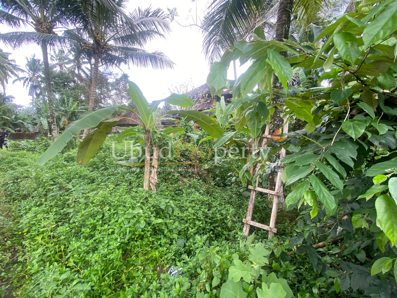 Ubud Property Land For Sale in Ubud Bali