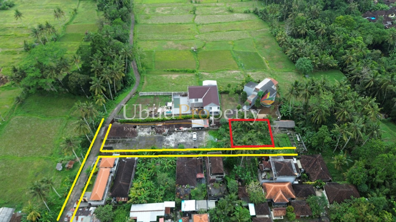 Ubud Property Land For Sale in Ubud Bali